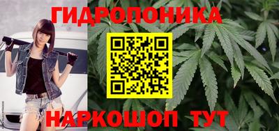 гашик Шахты