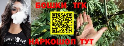 гашик Шахты
