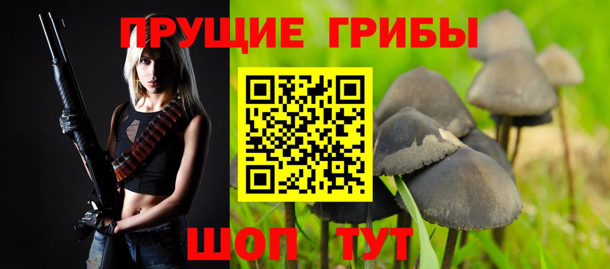 Галлюциногенные грибы Psilocybe Пыть-Ях